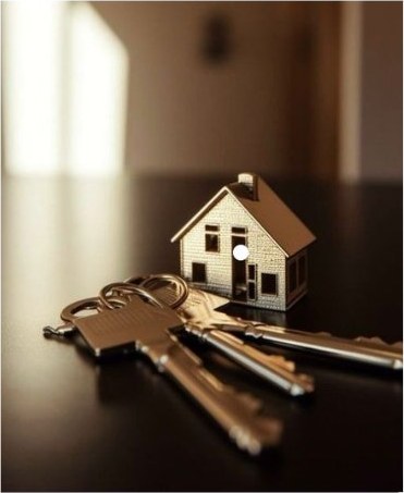 Real Estate Investor